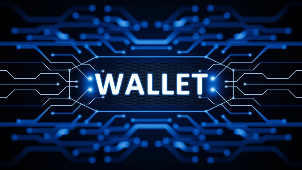 prepaid digital solutions wallet